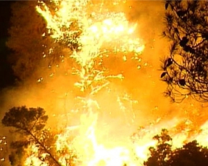 Пожежу площею 100 га на Херсонщині вдалося загасити