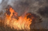 На Николаевщине сожгли 80 га камышей