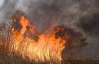 На Миколаївщині спалили 80 га очерету