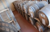Сім видів вина дадуть скуштувати в музеї вина  "Шабо"