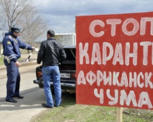 На Дніпропетровщині заборонили ввозити м'ясо з Запорізької області: бояться африканської чуми