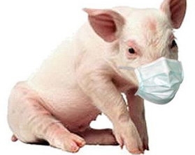 У Бразилії прокинувся свинячий грип: 3 людини померло, 67 захворіло