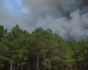 Азаров заявив, що пожежу в Херсонській області локалізовано