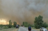 Лісові пожежі на Херсонщині ліквідовано