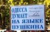 "Надання російській статусу регіональної для Одеси нічого не змінює - це піар-хід" - "свободівець"