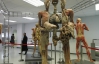Завдяки японцям у Таїланді відкрили музей тіла