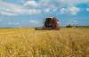 Украина к 14 августа намолотила более 25 миллионов тонн зерна