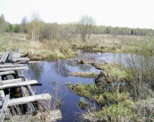 Зона відчуження та Чорнобиль вже придатні для проживання - експерт