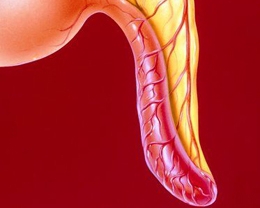 Азарову вирізали апендицит у Грузії