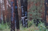 "Нам тяжело отстоять землю стоимостью 6 млн долларов" - Под Киевом сгорел парк