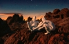 Художники зобразили перші пологи на Марсі