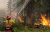 Лісові пожежі вирують у США від заходу до сходу
