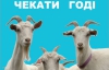 "Покращення чекати годі, доки козли на городі" - можлива альтернатива бабусі з котом