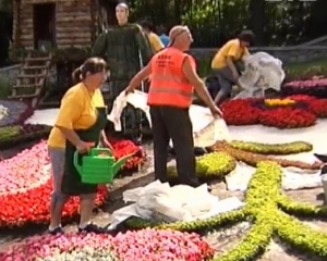 На День Независимости в Киеве устроят выставку цветов