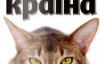 Чому влада боїться котів - найцікавіше в журналі "Країна"