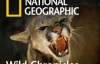 В Украине приостановили трансляцию National Geographic channel из-за рекламы алкоголя