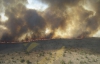 У Каліфорнії ввели надзвичайний стан через масштабні пожежі
