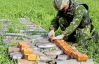 НАТО виділить Україні 15 млн гривень на утилізацію боєприпасів