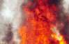 14-річний хуліган влаштував лісову пожежу, яку гасили 700 людей