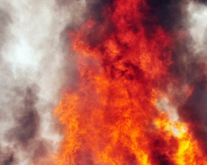 14-летний хулиган устроил лесной пожар, который тушили 700 человек