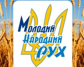 На Рівненщині опозиційний кандидат паралізував роботу РДА 300 запитами