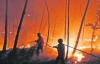 Португалия просит помочь погасить лесные пожары