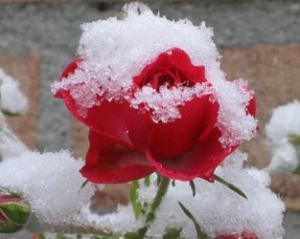 Завтра в Україні випаде перший сніг