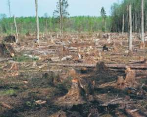 Столична прокуратура &quot;завалила&quot; суд позовами щодо забудови Біличанського лісу