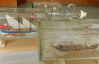 Кораблі у пляшках і не тільки - самодіяльні художники організували виставку у Тернополі