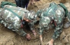 Поток грязи накрыл китайскую школу, убив 18 детей