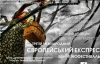 "Лучшие традиции восточноевропейского кинематографа" на кинофестивале "Европейский экспресс"