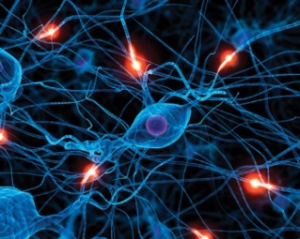 Американские ученые нашли новый способ лечения эпилепсии