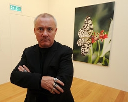 9 000 метеликів загинуло на виставці художника Деміена Херста
