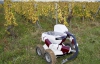 Французы придумали робота-винороба