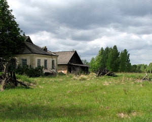 На Івано-Франківщині сільський голова виділив сам собі землі на 140 тисяч