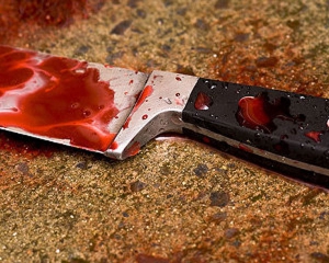Японец изрезал кухонным ножом шестерых прохожих