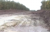 Более 4 км заповедного Черного леса вырубили на Кировоградщине ради автобана