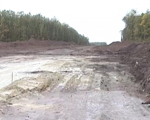 Более 4 км заповедного Черного леса вырубили на Кировоградщине ради автобана