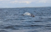 У Київському водосховищі виявили тіло другого рибалки, який зник 8 жовтня