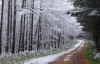 Балканский циклон принесет в Украину снег