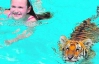 Сеанс купания с тигренком стоит 200 долларов