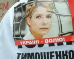 Власть слепит фальшивую оппозицию даже из обезьяны - Тимошенко