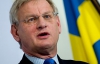 В Европарламенте уже говорят о санкциях против Украины - министр Швеции