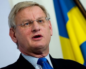 В Европарламенте уже говорят о санкциях против Украины - министр Швеции