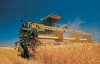 Украина собрала 41,2 миллиона тонн зерна с 93% площадей