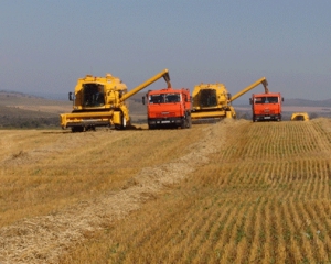 Україна до 5 листопада зібрала 42 мільйони тонн зерна з 94% площ