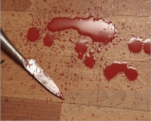 На Прикарпатье иностранец ножом и топором убивал женщину