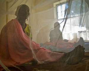 67 життів забрала жовта лихоманка в Судані