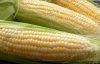 Україна домовилася продавати кукурудзу в Китай