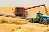 Украина собрала 43,4 миллиона тонн зерна с 95% площадей